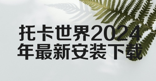 托卡世界2024年最新安装下载