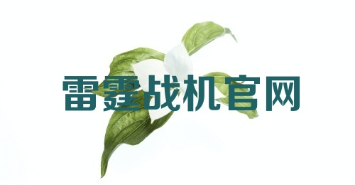 雷霆战机官网