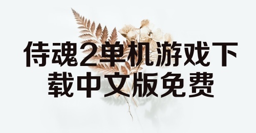 侍魂2单机游戏下载中文版免费