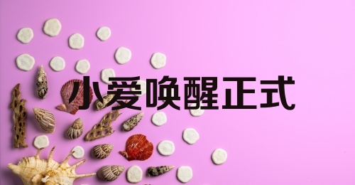 小爱唤醒正式