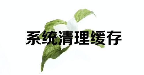 系统清理缓存