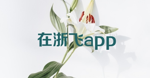 在浙飞app