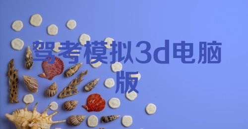 驾考模拟3d电脑版