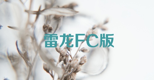 雷龙FC版