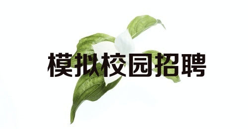 模拟校园招聘