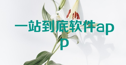 一站到底软件app