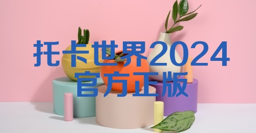 托卡世界2024官方正版