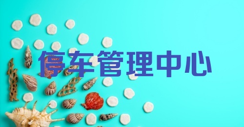 停车管理中心