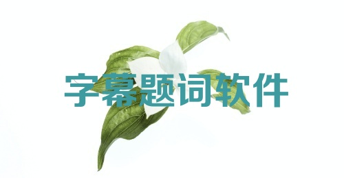 字幕题词软件