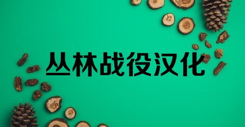 丛林战役汉化