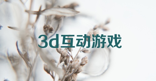 3d互动游戏