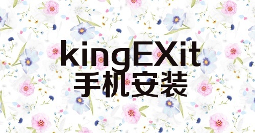 kingEXit手机安装