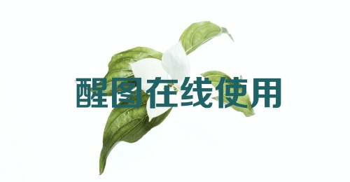 醒图在线使用