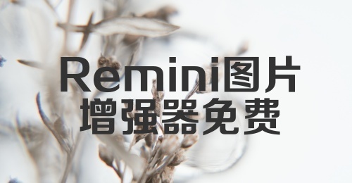 Remini图片增强器免费