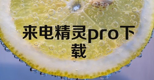 来电精灵pro下载