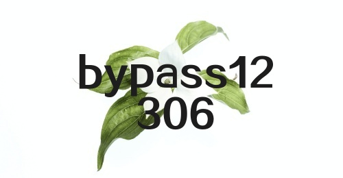 bypass12306