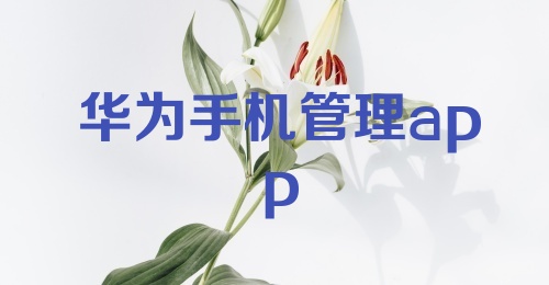 华为手机管理app