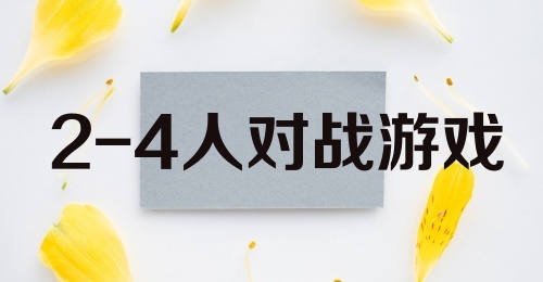 2-4人对战游戏