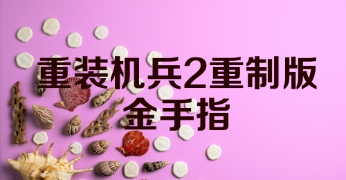 重装机兵2重制版金手指