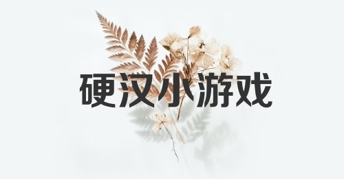 硬汉小游戏