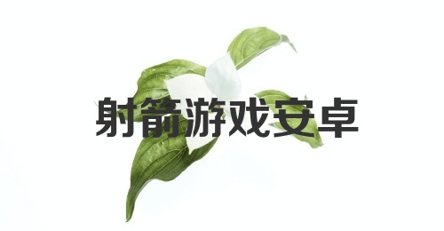 射箭游戏安卓