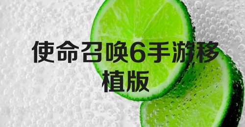 使命召唤6手游移植版