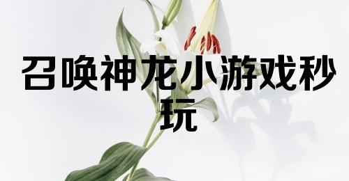 召唤神龙小游戏秒玩