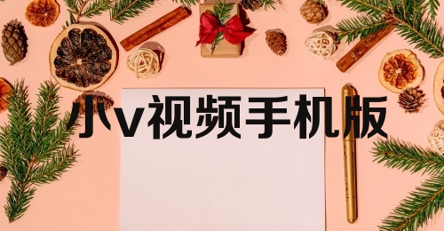 小v视频手机版