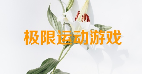 极限运动游戏