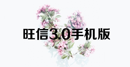 旺信3.0手机版