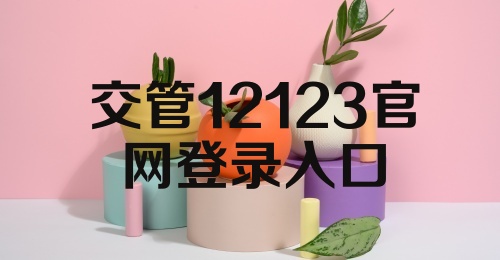 交管12123官网登录入口