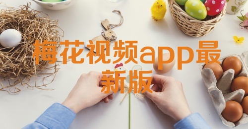 梅花视频app最新版