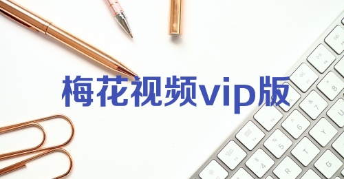 梅花视频vip版