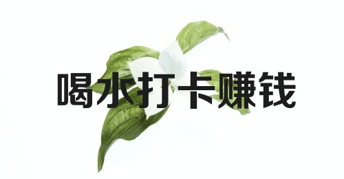 喝水打卡赚钱