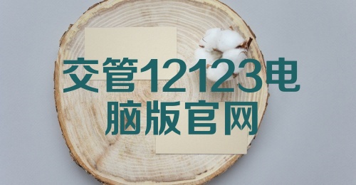 交管12123电脑版官网