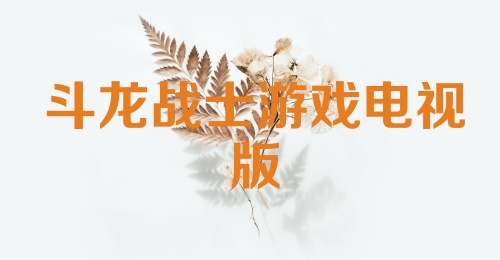 斗龙战士游戏电视版