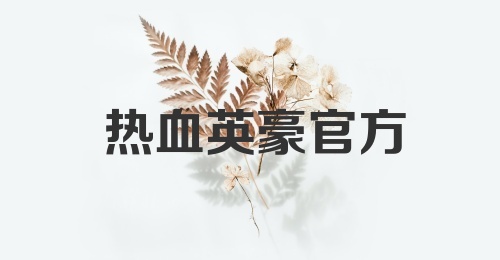 热血英豪官方