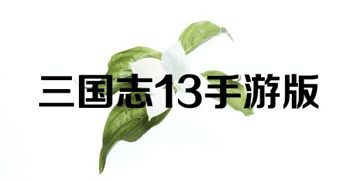 三国志13手游版