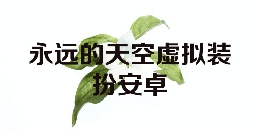 永远的天空虚拟装扮安卓