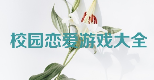 校园恋爱游戏大全