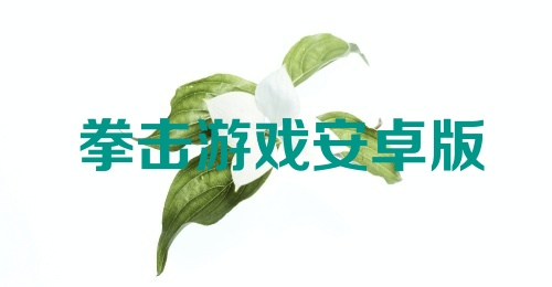 拳击游戏安卓版