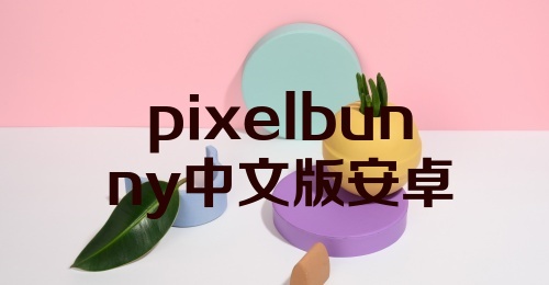 pixelbunny中文版安卓