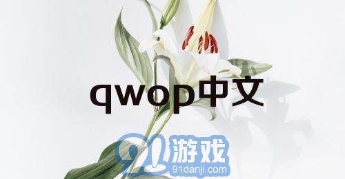 qwop中文