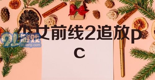 少女前线2追放pc