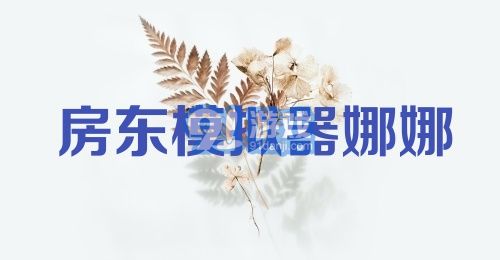 房东模拟器娜娜