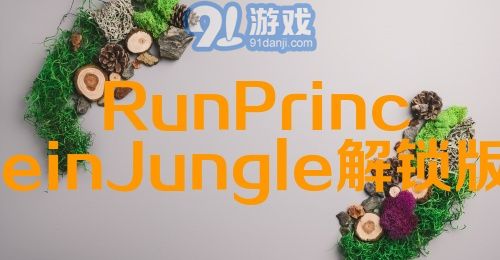 RunPrinceinJungle解锁版