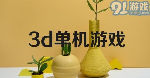 3d单机游戏