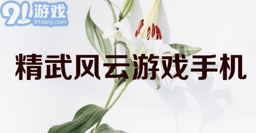 精武风云游戏手机