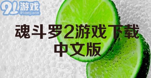 魂斗罗2游戏下载中文版