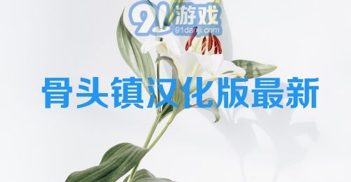 骨头镇汉化版最新